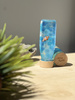 Petit Boum, Sound Bottle Fish