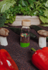 Petit Boum, Observation Bottle - VEGETABLES