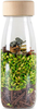 Petit Boum, Observation Bottle - JUNGLE