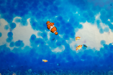 Petit Boum, Sound Bottle Fish