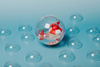 Petit Boum, Happy Bubble Crabs