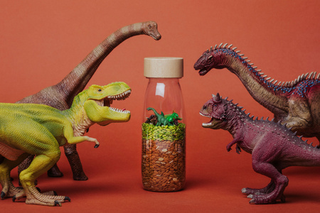 Petit Boum, Sound Bottle Dragon