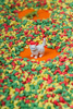 Petit Boum, Observation Bottle - ANIMALS