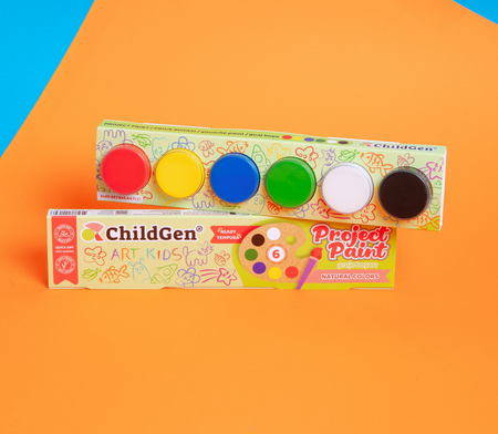 PROJECT PAINT 6x20 ML