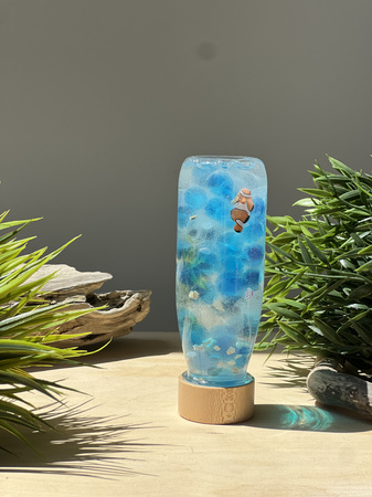 Petit Boum, Sound Bottle Fish