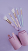Oh Flossy 5-Piece Rainbow Brush Set