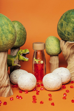 Petit Boum, sensory bottle, two-phase MOVE T-Rex